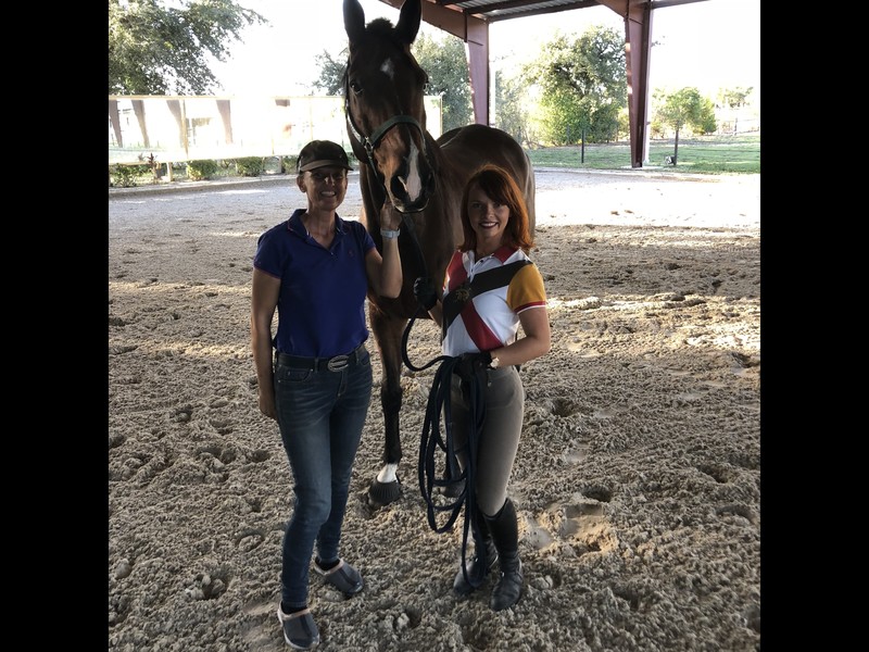 Nicole Olsen Equestrian Dressage :: Gallery